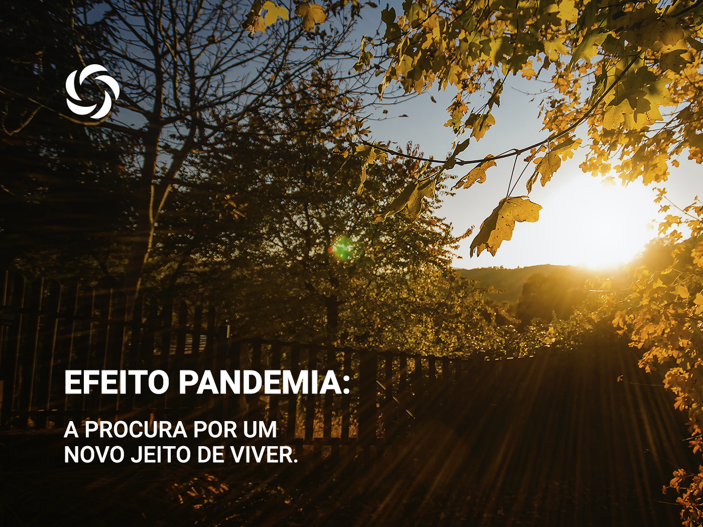 Efeito pandemia: a procura por um novo jeito de viver